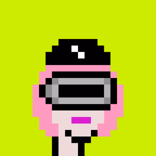 CryptoRobinhoodPunks #289
