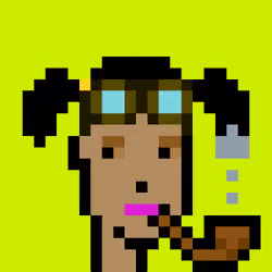 CryptoRobinhoodPunks #2511
