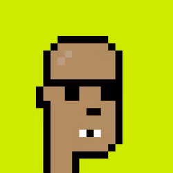 CryptoRobinhoodPunks #248