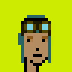 CryptoRobinhoodPunks #317