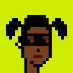 CryptoRobinhoodPunks #501