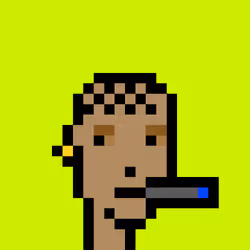 CryptoRobinhoodPunks #891
