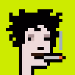 CryptoRobinhoodPunks #336