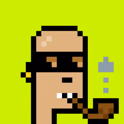 CryptoRobinhoodPunks #166