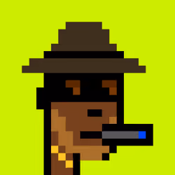 CryptoRobinhoodPunks #1078