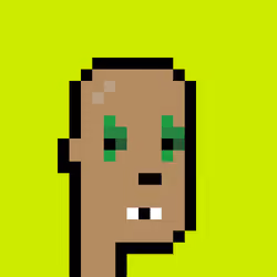 CryptoRobinhoodPunks #244