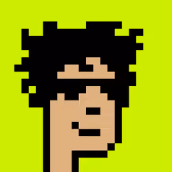 CryptoRobinhoodPunks #147