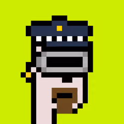 CryptoRobinhoodPunks #1294