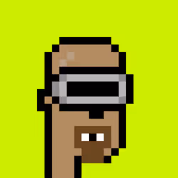 CryptoRobinhoodPunks #134