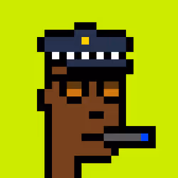 CryptoRobinhoodPunks #801