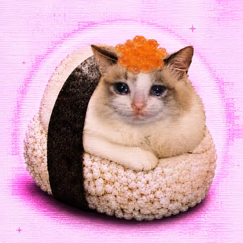 SUSHICAT