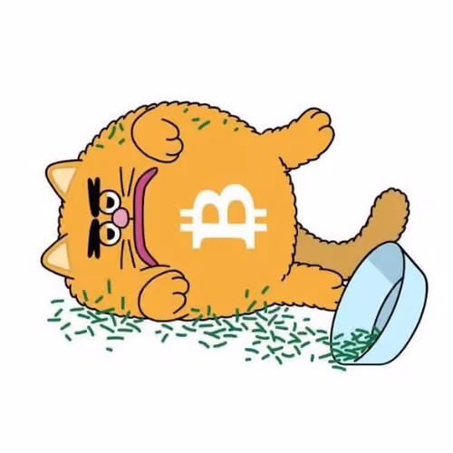 BITCAT