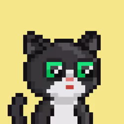 Hood MEOW #1004