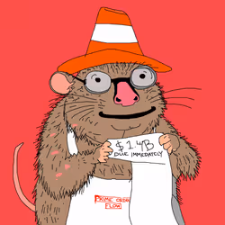 1555
