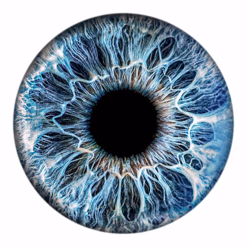 EYE