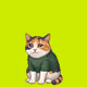 Cash Cat Pixels #986