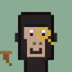 Policy Ape #157