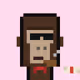 Policy Ape #678
