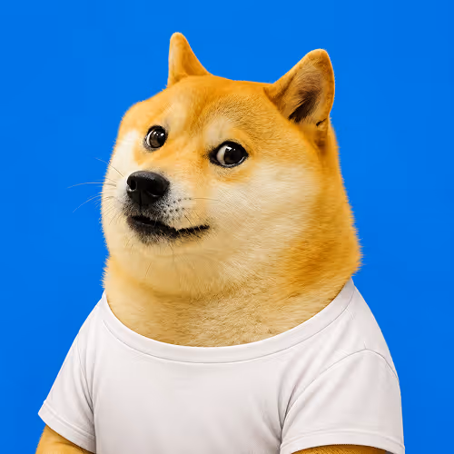 DOGE #1