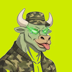 HoodBulls #1246
