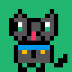 Robin Kitties #1233