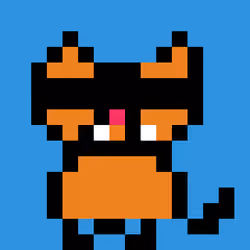 Robin Kitties #1684
