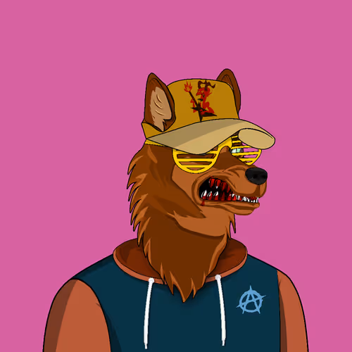Barkos #58