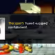 855
