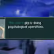 528