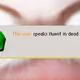 862