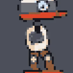 picoduck #273