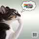 Thinking Cat #7550
