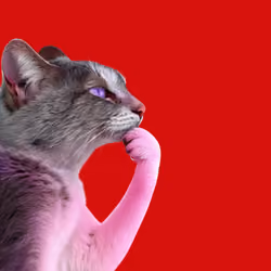 Thinking Cat #157