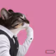Thinking Cat #1477
