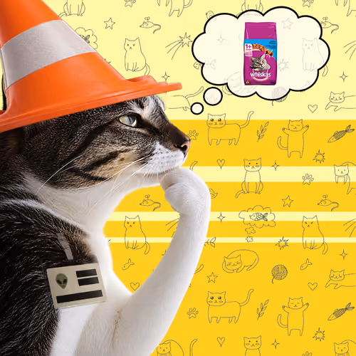 Thinking Cat #5184