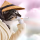Thinking Cat #8148