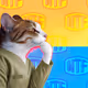8887