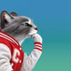 Thinking Cat #5462