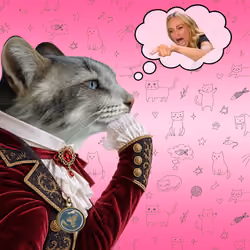 Thinking Cat #8900