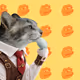 Thinking Cat #7175
