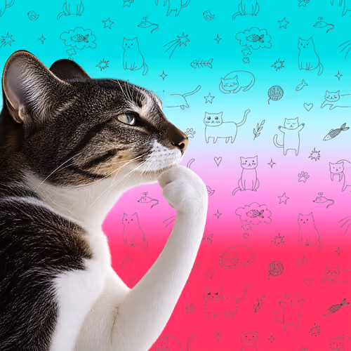 Thinking Cat #2553