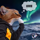 Thinking Cat #8480