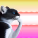 8708