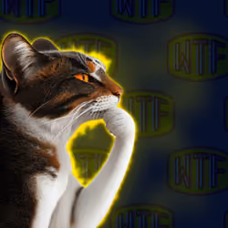 Thinking Cat #1782