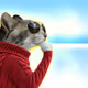 Thinking Cat #3444