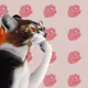 Thinking Cat #2142