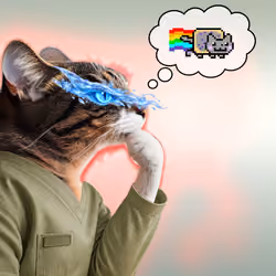 Thinking Cat #9296