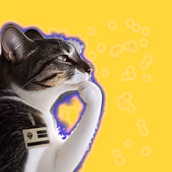 Thinking Cat #9422