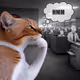 Thinking Cat #8720