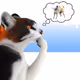 Thinking Cat #7033